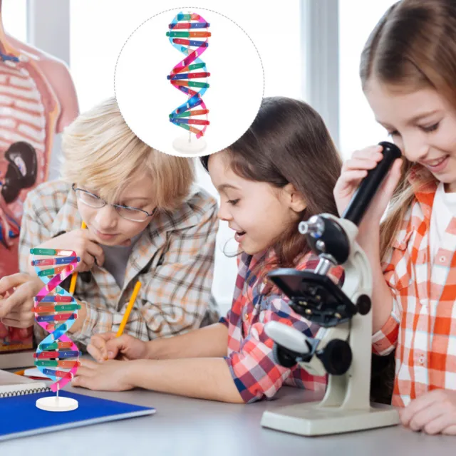 Niños modelo de ADN doble hélice genes modelos de ADN biología juguete de aprendizaje