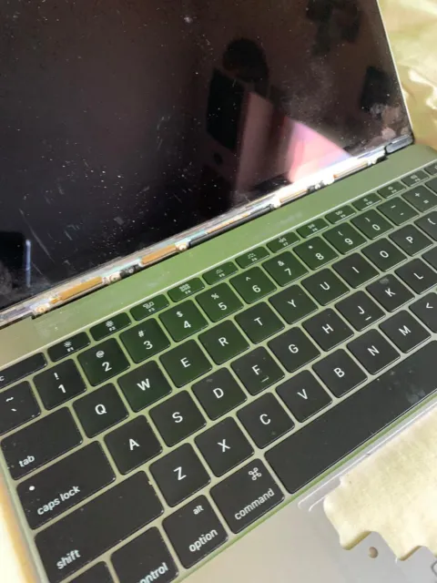 Apple MacBook 12" (512GB SSD, Intel Core i5 7ª generazione, 1.3GHz, 8GB) Laptop