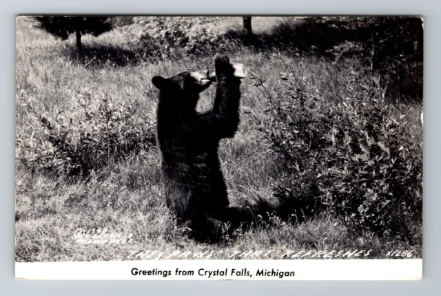 Crystal Falls MI-Michigan RPPC, Scenic Greetings, Black Bear, Vintage Postcard