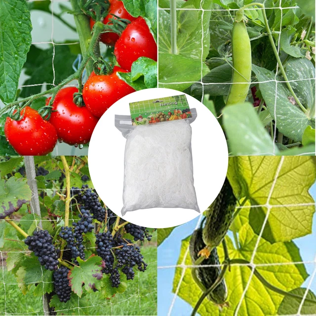 2 Filets De Treillis Élastiques 60x60cm Pour Plantes - Filet De Culture Avec 8 Crochets, Support Pour Légumes/Fruits/Fleurs - 3
