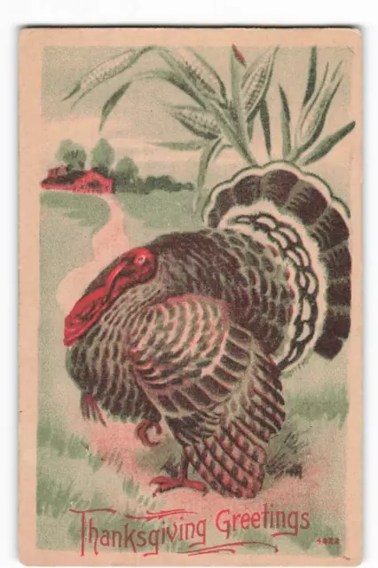 Postcard Thanksgiving Greetings 4622 VTG VPC01.