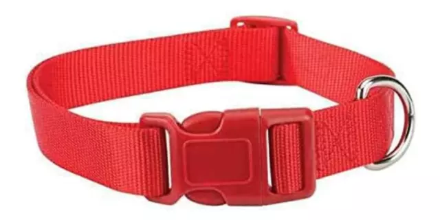 Zack & Zoey Dog Collar Adjustable  Red 14-20" Neck 5/8" wide Medium