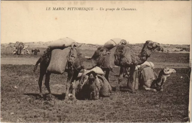 CPA AK MOROCCO A Group of Camels (38691)