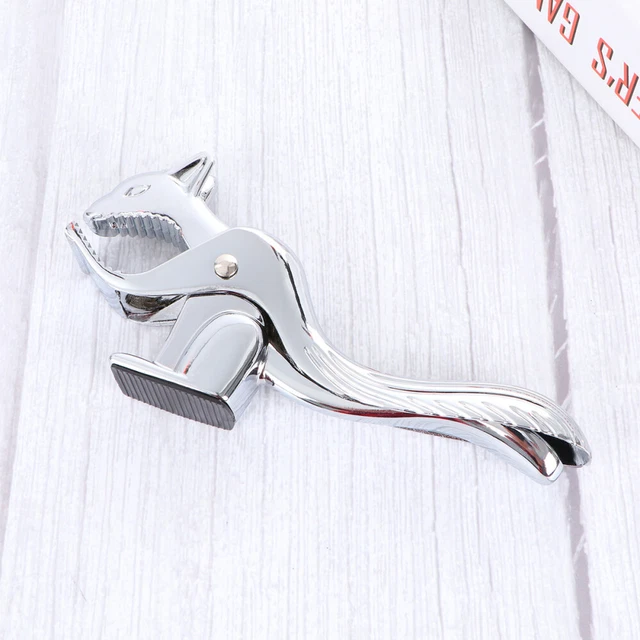 JJKOL Set Di Punte Per Castagne – Accessori Per Lavorazione Del Legno E Hobby Creativi
