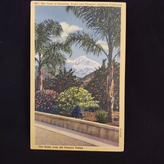 Postcard Land of Sunshine Fruits and Flowers Southern Calif. unused Vintage READ
