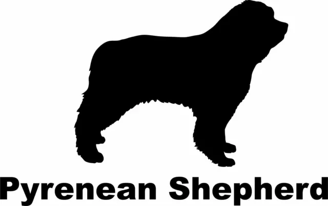 Pyrenean Mountain Dog