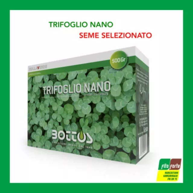 Zollaverde Trifoglio Repens Nano Bottos Da 500Gr Sementi Selezionati Prato