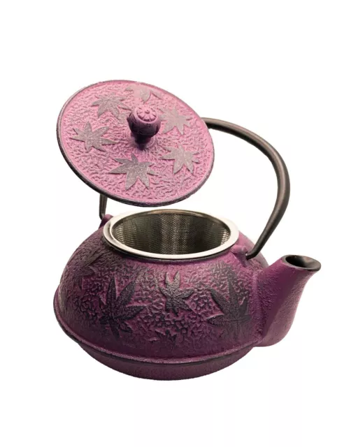 Tetera Hierro Fundido  Japonesa  600ml Rosa / Japanese Style Cast Iron Teapot 2