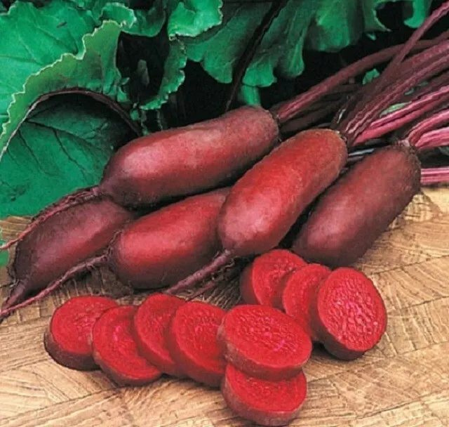 Beetroot Organic Forono 200 Seeds - Sandnes Farms