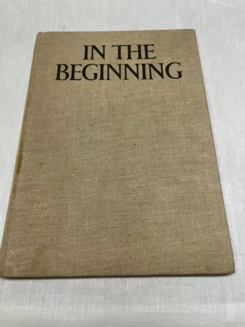 In The Beginning First Chapter Of Genesis Drawings And Large Print Book