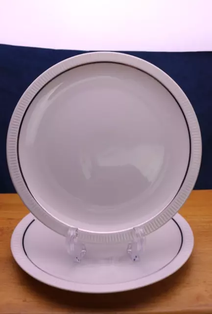 Sparta Secunda White Ribbed Platinum 2 Salad Plates Germany MINTY