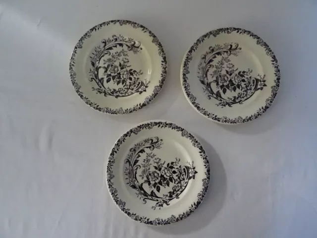 3 Assiettes  ancienne  ROCAILLE terre de fer 563112 S & G  fleurs Sarreguemines