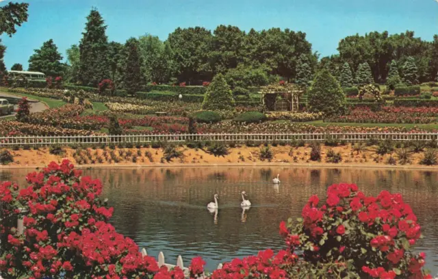 Hershey PA, Chocolate Town USA, Rose Gardens & Arboretum Swans, Vintage Postcard