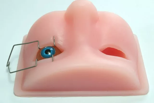 Ophthalmology silicagel Ophthalmic surgery Practice model Teaching Model