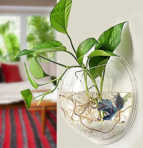 Wall-Hanging Fish Bowl Acrylic Wall-Mounted Plant Pot 1 Gallon Fish Tank 11.5