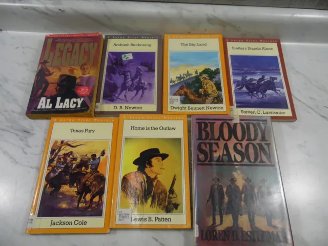 🎆Texas Fury  Ambush Reckoning The big land western book mixed lot🎆