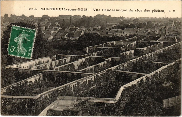 CPA WATCH-under-WOOD Panoramic View of Clos des Peches (1353447)