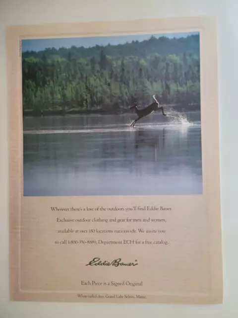 EDDIE BAUER WHITE-TAILED Deer Maine Outdoor Clothing New Yorker Ad 1990 ...