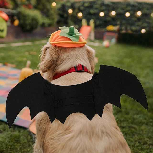 Lindos Divertidos Ala de Murciélago Cosplay Foto Accesorios Fieltro Mascota Murciélago Alas Halloween