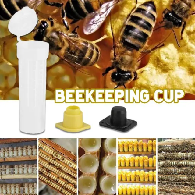 20PCS Beekeeping Rearing Cup Kit Queen Bee Cages Beekeeper Equipment Tool s ,
