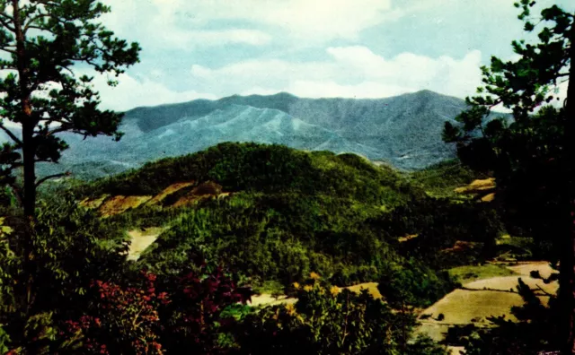 Postcard Mt. Le Conte Great Smoky Mountains national Park, Tennessee