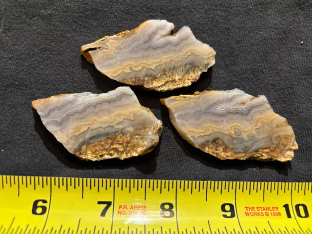 Prudent Man Plume Agate rock slabs (3) lapidary cabbing rough