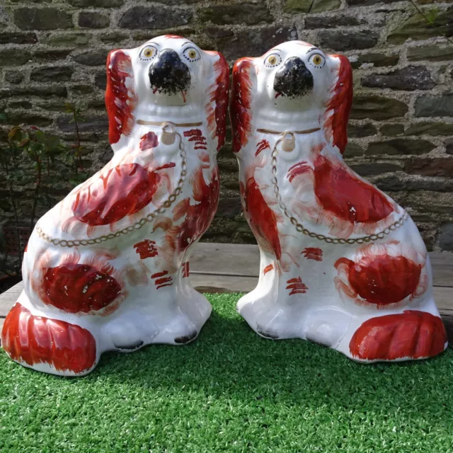 SUPERB PAIR: MID 19thC STAFFORDSHIRE RUSSET RED & WHITE SPANIEL DOGS c1850s