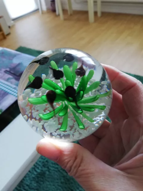 "Aquarium" Glas Briefbeschwerer Paperweight Kaulquappen fast wie neu