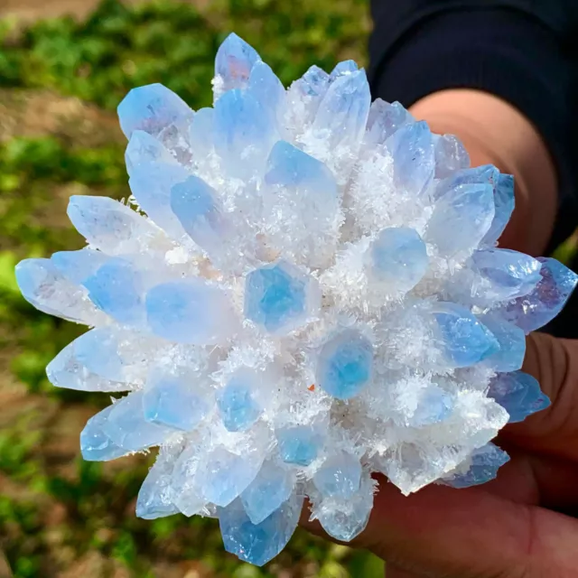 228G New Find sky blue Phantom Quartz Crystal Cluster Mineral Specimen Healing