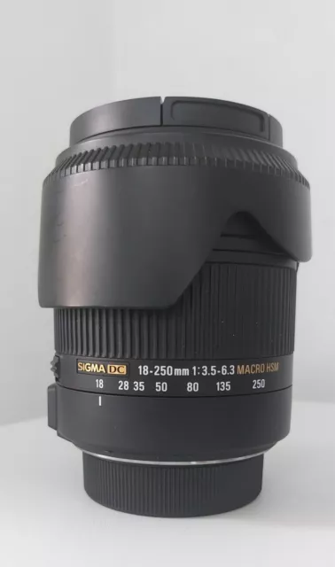 Sigma 18-250mm F/3,5-6,3 DC Makro OS HSM Objektiv für Nikon (883955)