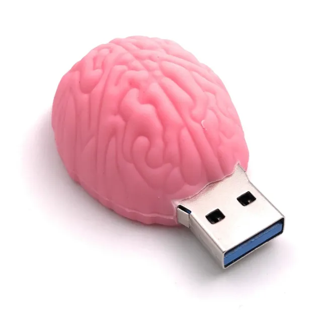 Cerebro Denkvermögen Rosa USB Pegar Flash Unidad 8GB 16GB 32GB 64GB 128GB