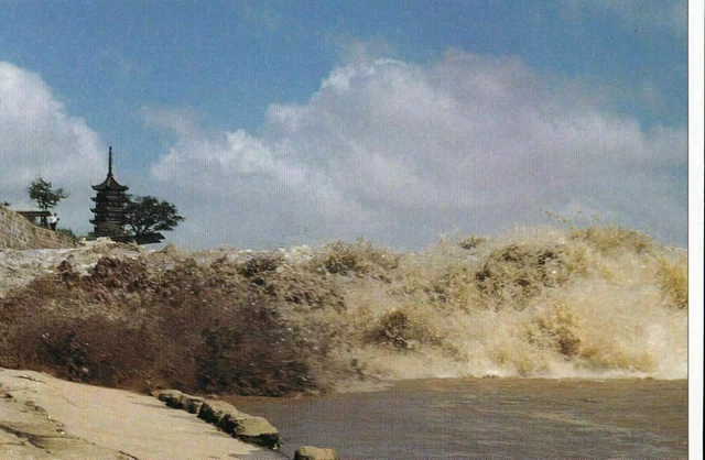 China Tides Illustrated  Stationary  Postcards     Ref 5306 3