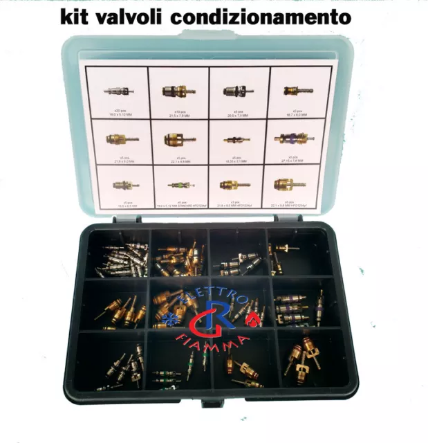 Kit Valvolini Condizionatore Auto Gas R134A R12 R22 R407C R404 R410 R290 R600 Ec