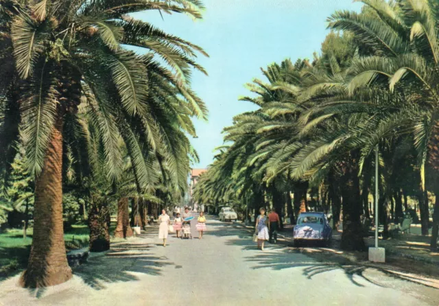 Cartolina San Benedetto Del Tronto Ascoli Piceno Viale Delle Palme Viagg.1963