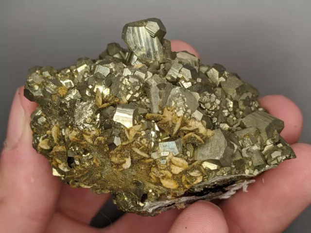 Pyrite w/ Siderite Eagle Mine, Gilman, Eagle County, Colorado