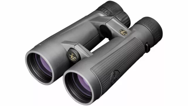 Leupold 10x50mm BX-5 Santiam HD Binoculars Shadow Gray 175854