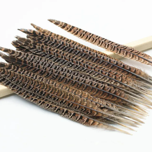 Wholesale natural pheasant tail feathers 4-14 inches/10-35cm 10-100pcs 2