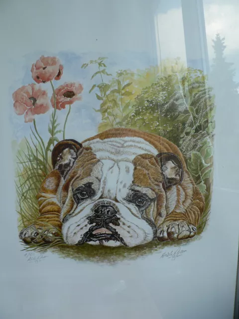 Bulldogbilder