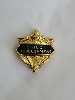 Child Development Award Lapel Hat Jacket Pin High School Gold Color Metal
