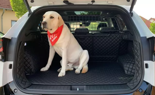 CARSTYLER® Kofferraummatte Kofferraumschutz Hund Für Seat Tarraco Hybrid