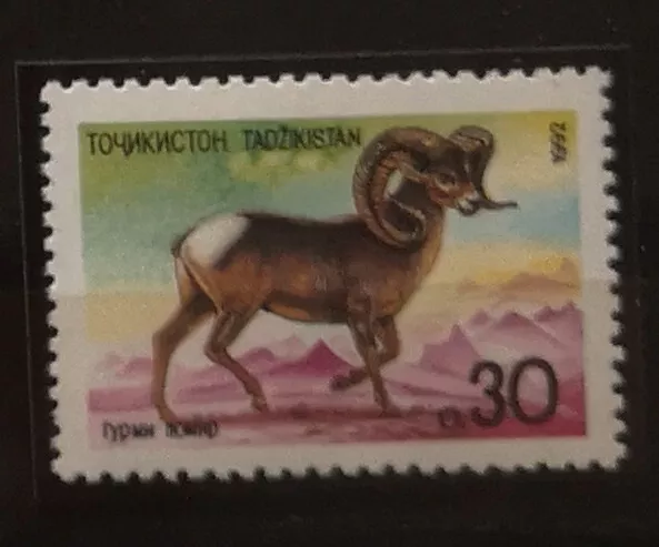 Tadschikistan Tajikistan 1992 Wildschaf 1v**