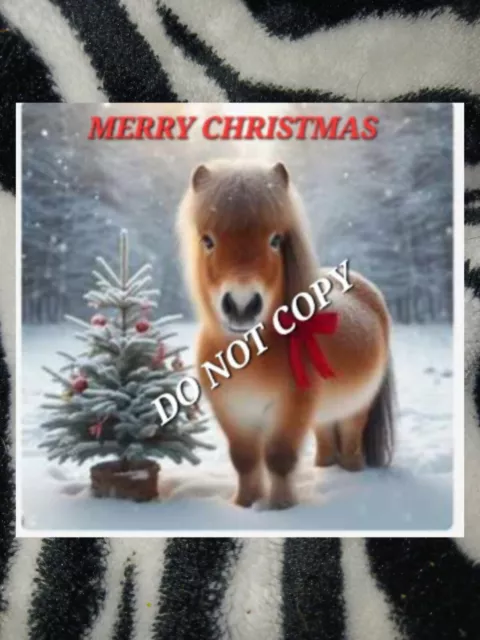 Horse Swap Card  New Cute Shetland Christmas Pony