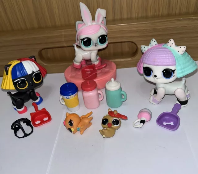 Lol shapes pet on sale