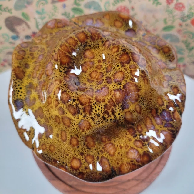 Whimsical Mushroom Gold Brown Mottled Glaze Top Ceramic Mushroom Garden Forest 3