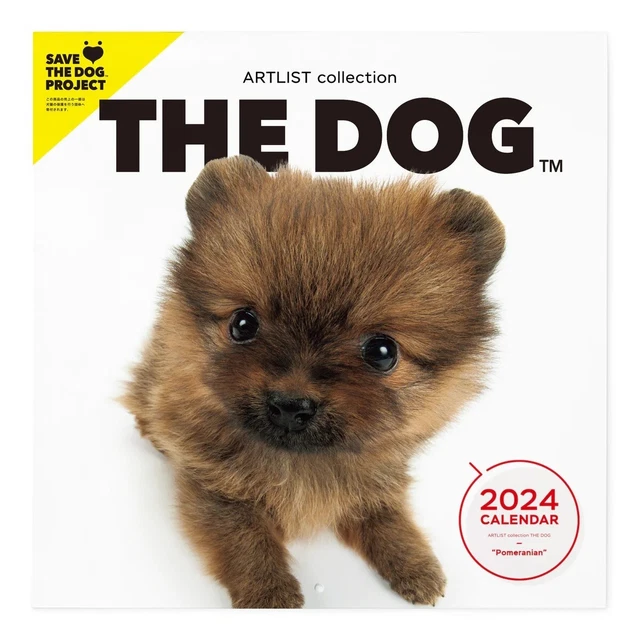 PSL THE DOG 2024 Calendar Large Size (Pomeranian) With Original Sticker