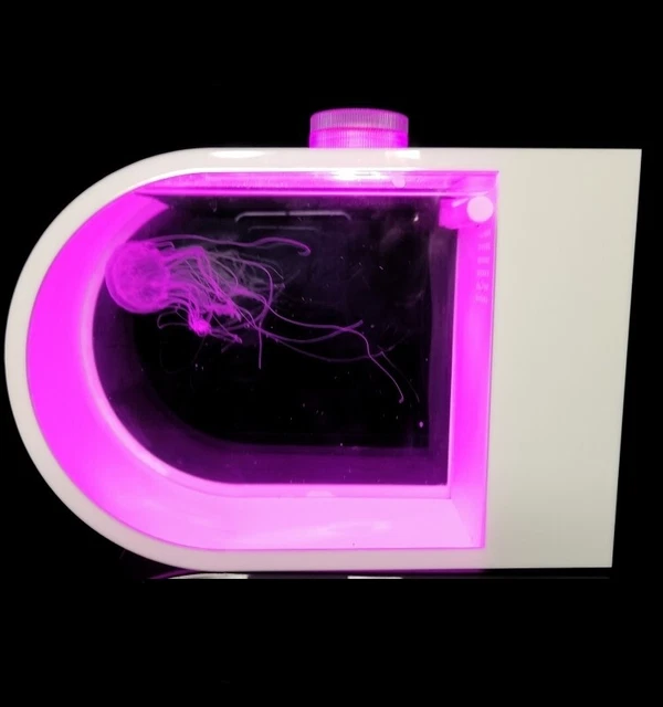 Jellyfish aquarium tank 2