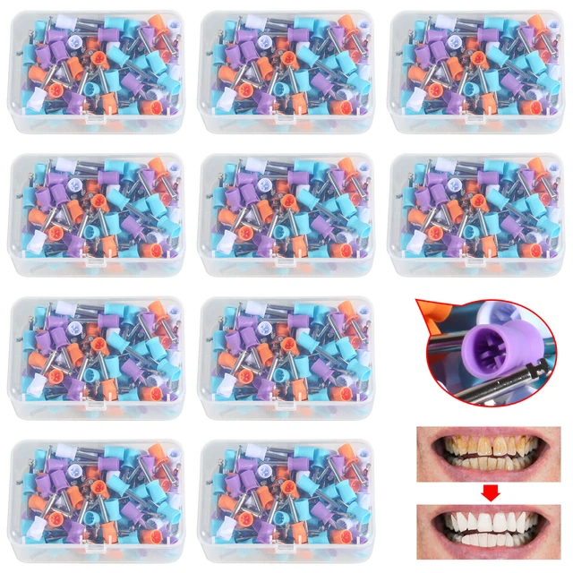 1000pcs Dental Polishing Polish Cups Prophy Cup Latch Brush Rubber 4 Webbed NEW