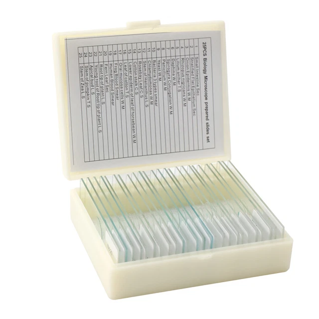 25PCS Animal Plants Insects Tissues  Cover Slips Microscope Slides B2Y8