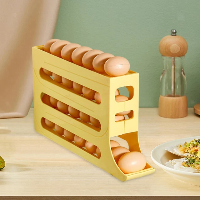 Distributeur Automatique D'Œufs TNEDFOD 2 Niveaux - Rangement Réfrigérateur 12 Œufs