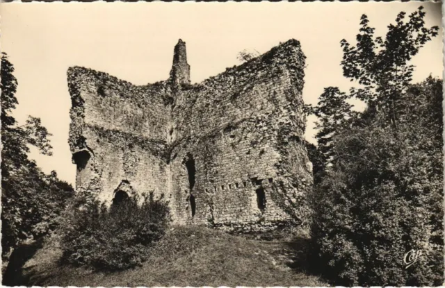 CPA Domfront Les Ruines du Donjon FRANCE (1053855)
